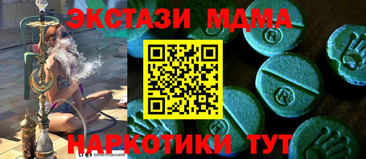 ЭКСТАЗИ бентли Тара