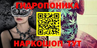apvp Можга